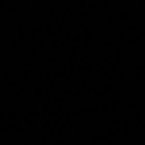 Meet your Posher, Mattie